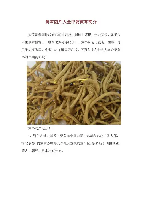 黄芩图片大全 中药黄芩简介