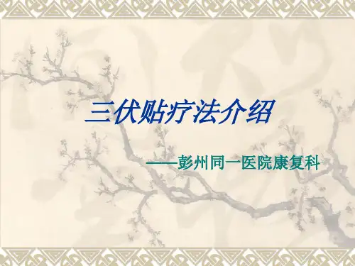 三伏贴介绍