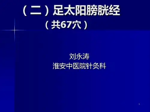 足太阳膀胱经 ppt课件
