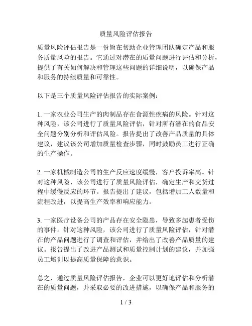 质量风险评估报告