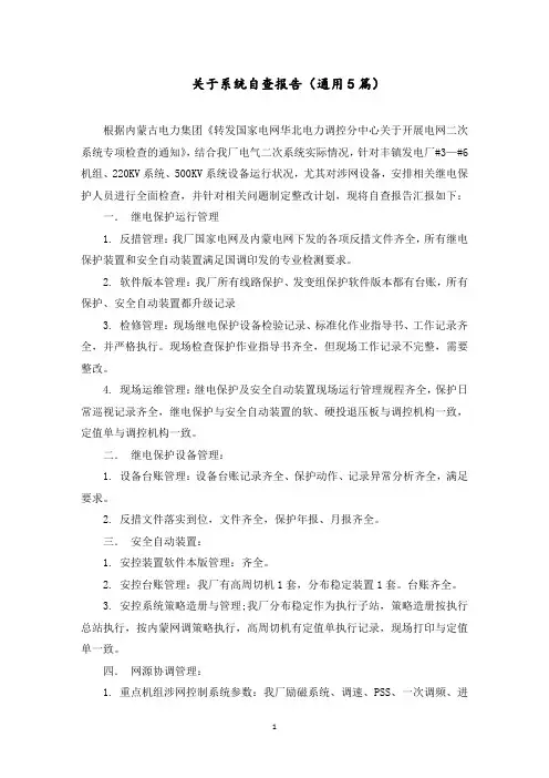 系统自查报告范文精选