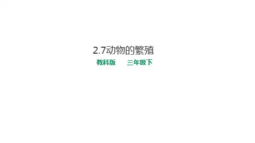 2.7动物的繁殖 课件