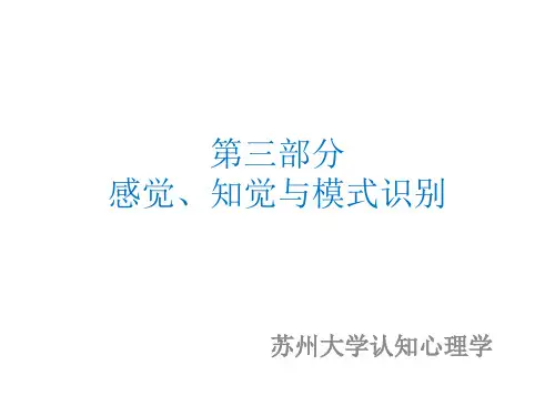 感觉知觉与模式识别