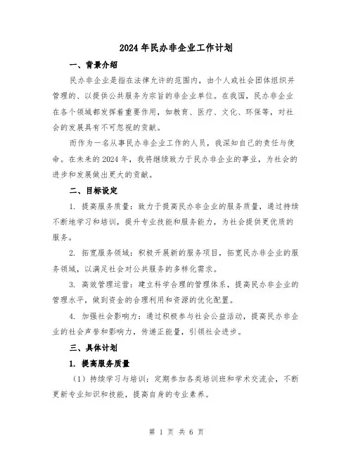2024年民办非企业工作计划(2篇)