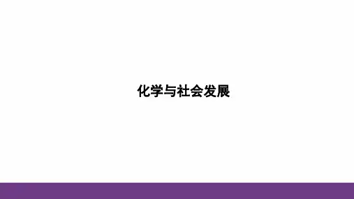 2024年中考化学(鲁教版)专题复习：化学与社会发展