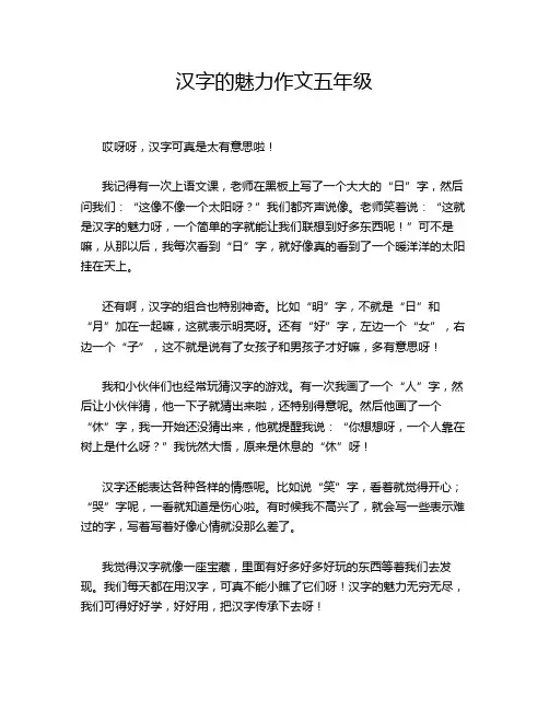 汉字的魅力作文五年级
