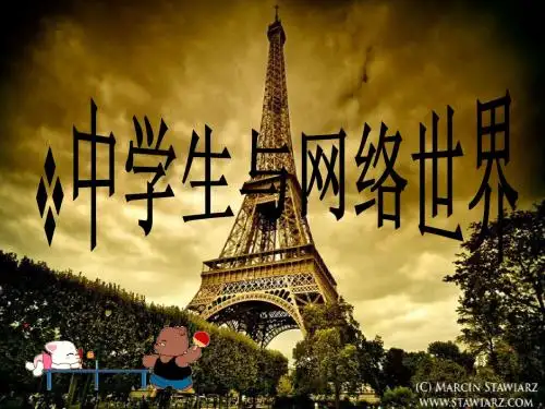 中学生与网络世界