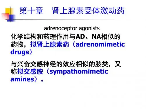 第10章--肾上腺素受体激动药