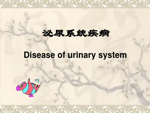 儿童泌尿系统疾病PPT