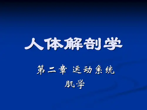 人体解剖学_第二章_运动系统-肌学
