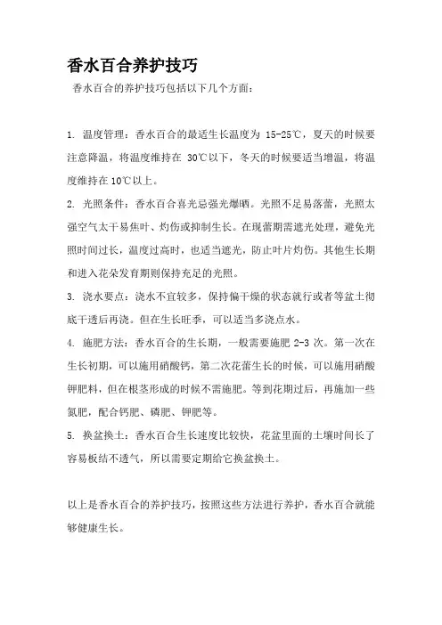香水百合养护技巧