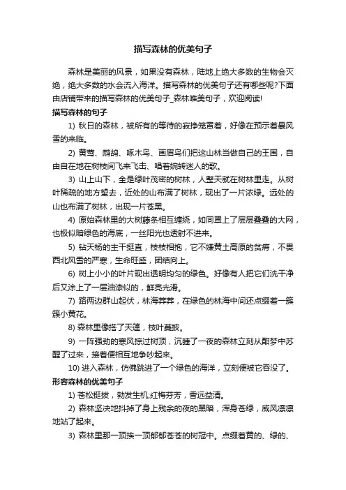 描写森林的优美句子