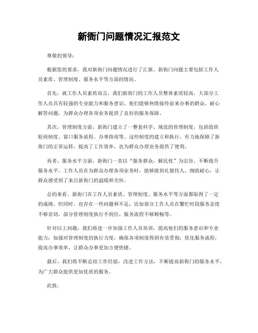 新衙门问题情况汇报范文