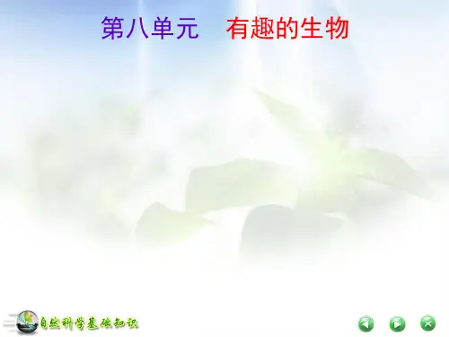 自然科学基础知识08有趣的生物部分课件1