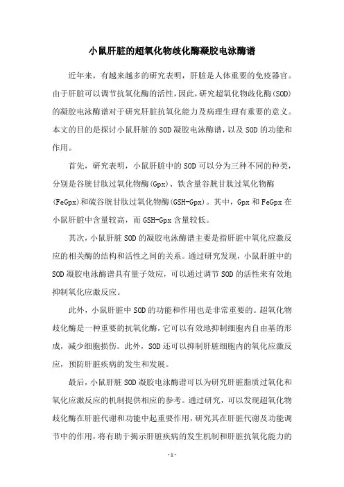 小鼠肝脏的超氧化物歧化酶凝胶电泳酶谱