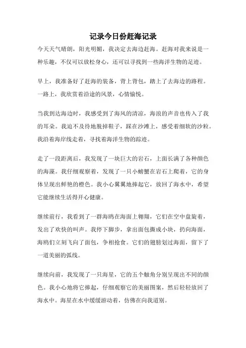 记录今日份赶海记录