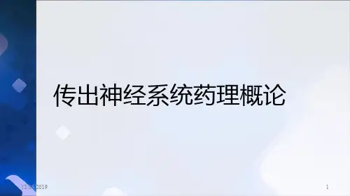 传出神经系统药理概论48页PPT