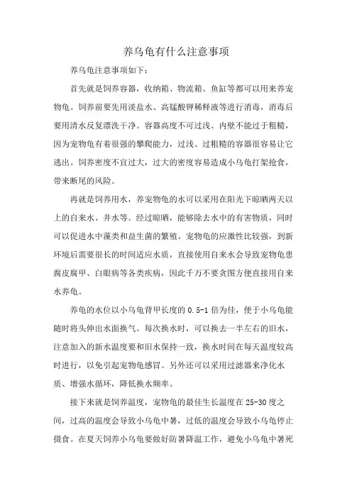养乌龟有什么注意事项