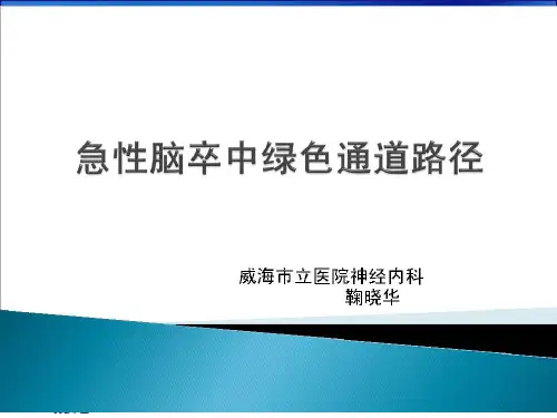 急性脑卒中绿色通道路径PPT15