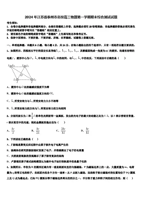 2024年江苏省泰州市名校高三物理第一学期期末综合测试试题含解析