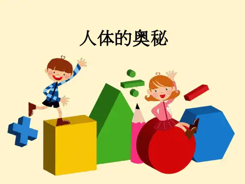 人体奥秘  ppt课件