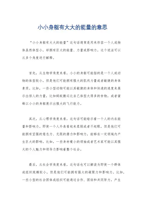 小小身躯有大大的能量的意思
