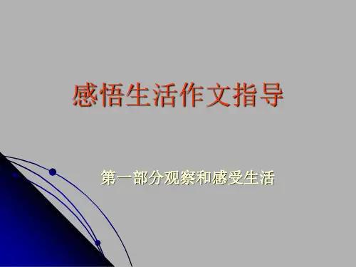 高中作文   感悟生活作文指导精品课件
