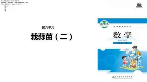 四年级下册数学 栽蒜苗(二)课件 北师大版