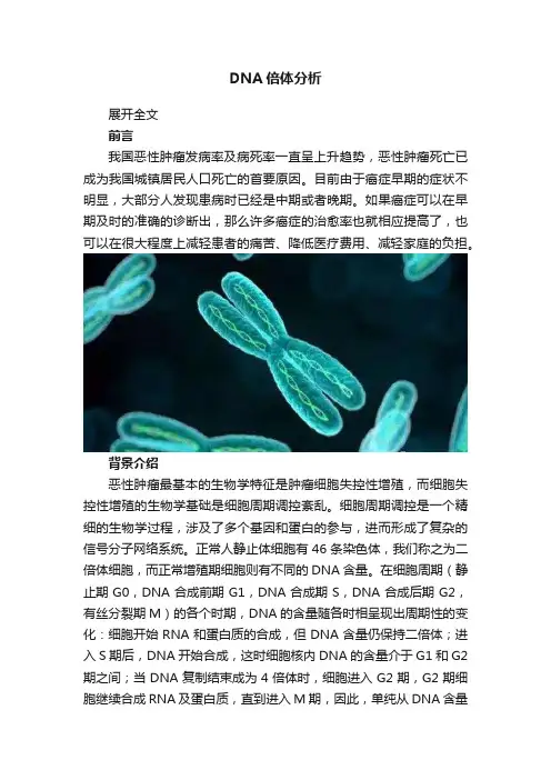 DNA倍体分析