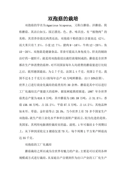 双孢菇的栽培