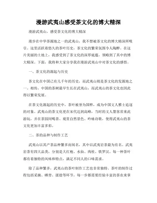 漫游武夷山感受茶文化的博大精深