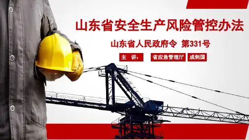 成炳国讲师-山东省安全生产风险管控办法省政府331号令解读-百度文库