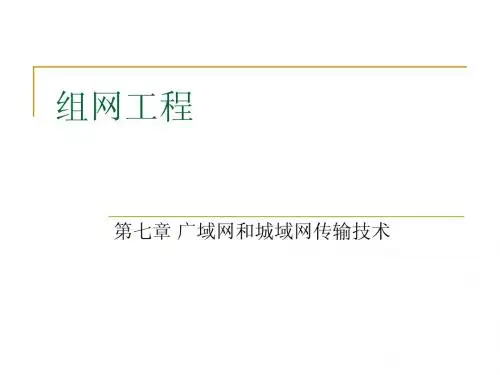 广域网和城域网