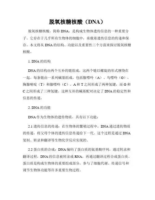 脱氧核糖核酸(DNA)