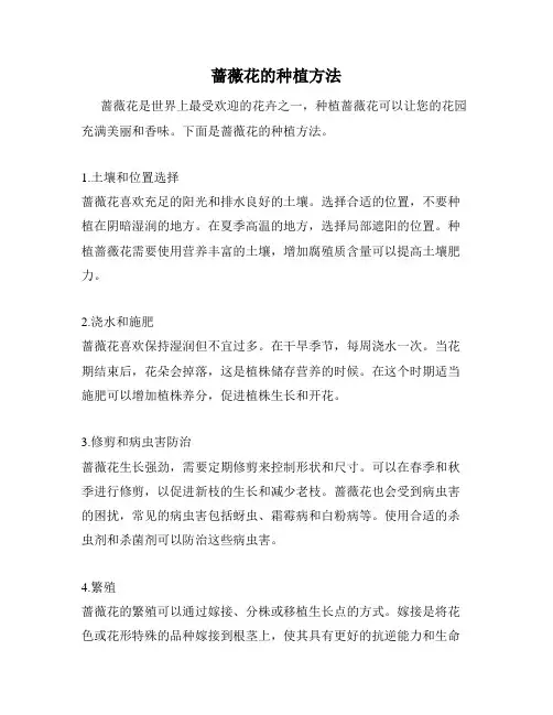 蔷薇花的种植方法