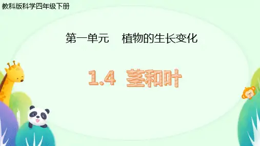 教科版科学四年级下册4.茎和叶 (课件)(共31张PPT视频)