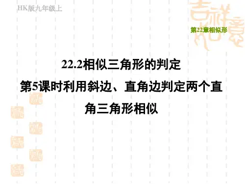 沪科版九年级上册数学第22章 相似形 利用斜边、直角边判定两个直角三角形相似