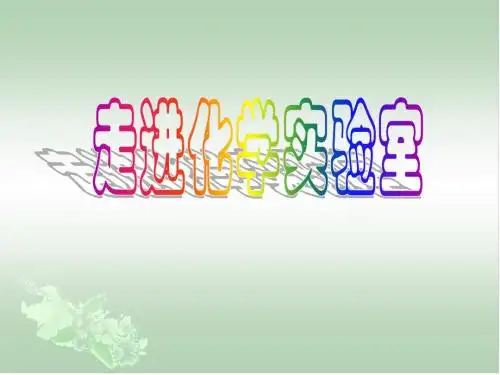 第五课时走进化学实验室1
