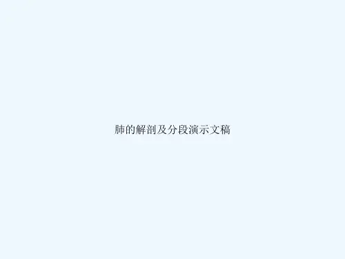 肺的解剖及分段演示文稿