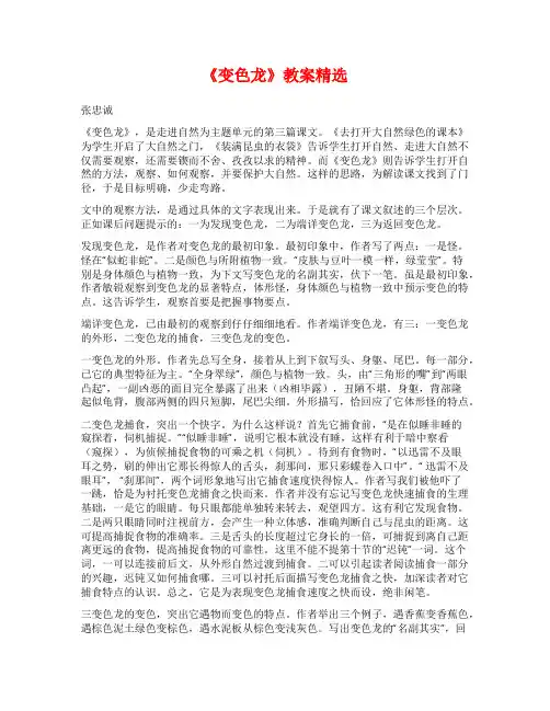 《变色龙》教案精选