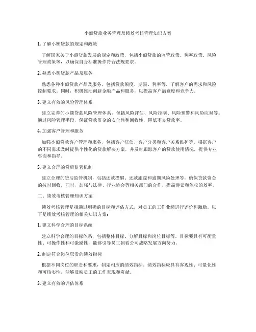 小额贷款业务管理及绩效考核管理知识方案
