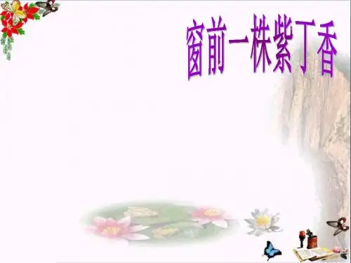 二年级语文上册第5课窗前一株紫丁香精选教学PPT课件语文S版