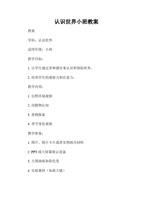 认识世界小班教案