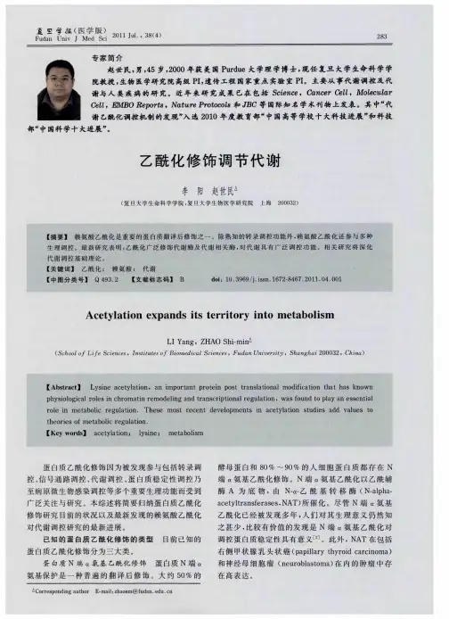 乙酰化修饰调节代谢