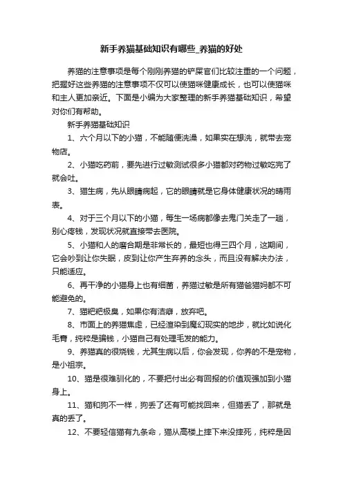 新手养猫基础知识有哪些_养猫的好处