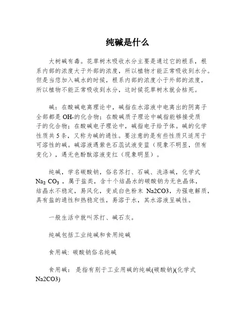 纯碱是什么