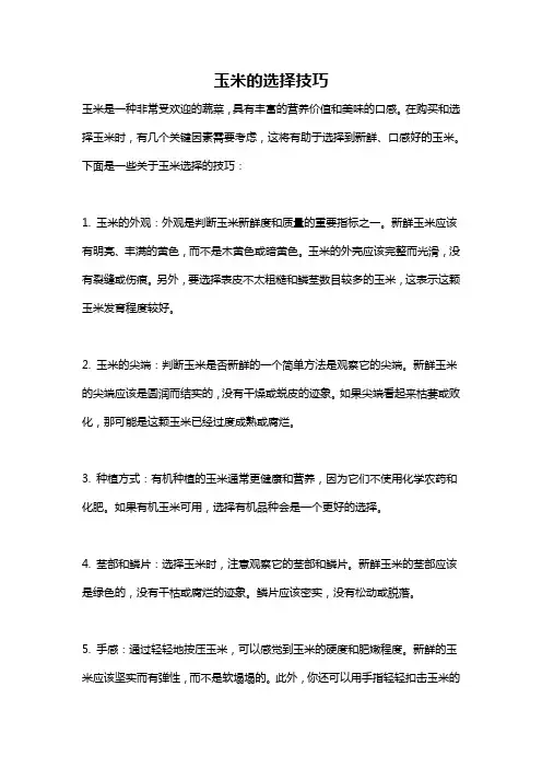 玉米的选择技巧