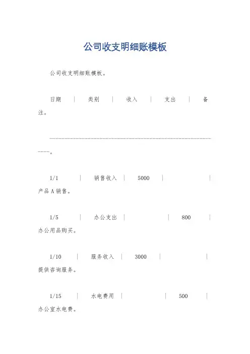 公司收支明细账模板