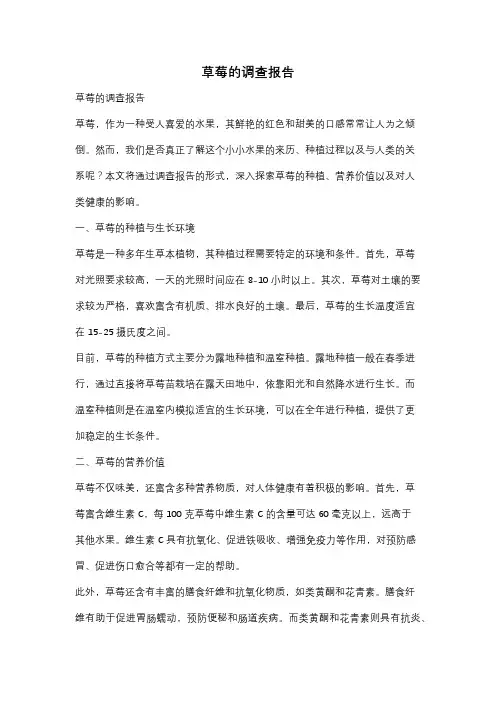 草莓的调查报告