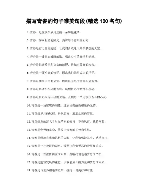 描写青春的句子唯美句段(精选100句)